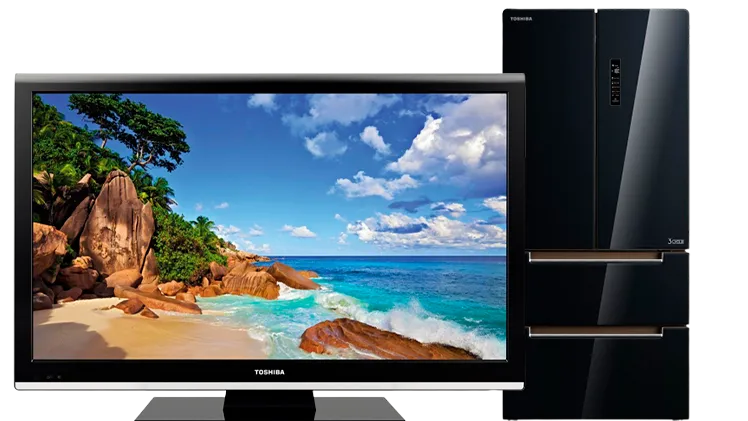 Сервисный центр Toshiba в Оренбурге